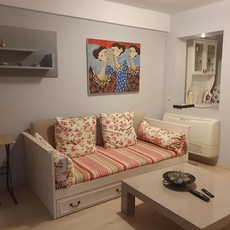 Apartman Down Town Center *